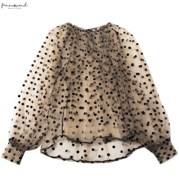 women embroidery lace flower lantern sleeve pullover polka dot voile basic shirt new autumn winter o neck mesh lace gauze blouse, White
women embroidery lace flower lantern sleeve pullover polka dot voile basic shirt new autumn winter o neck mesh lace gauze blouse, White