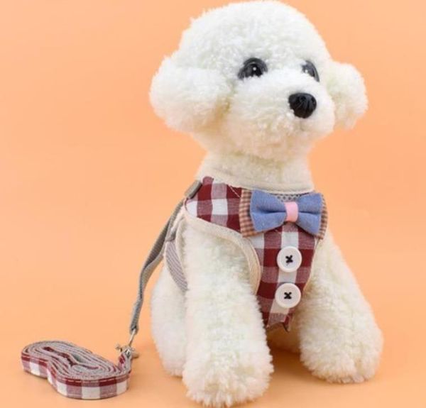 new style breathable mesh cloth chest strap for small dogs cat leash pet vest type adjustable leash pet leashes ing
new style breathable mesh cloth chest strap for small dogs cat leash pet vest type adjustable leash pet leashes ing