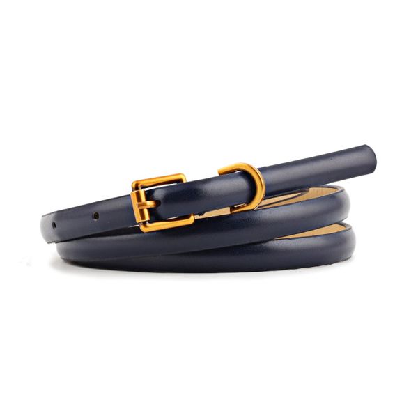 badinka 2020 new vintage gold pin buckle leather skinny belt waistband female black red pink thin waist belts for women dresses, Black;brown
badinka 2020 new vintage gold pin buckle leather skinny belt waistband female black red pink thin waist belts for women dresses, Black;brown