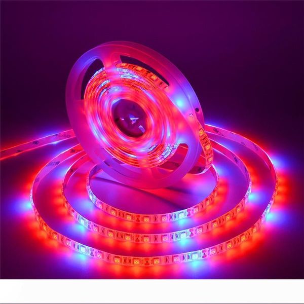 300led 5m smd 5050 водонепѬониаемй веодиоднй завод Ѭаи поло веа set full spectrum кѬа
300led 5m smd 5050 водонепѬониаемй веодиоднй завод Ѭаи поло веа set full spectrum кѬа