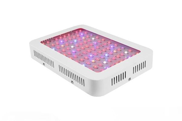 1000w led plant growth lamp, replacing hps,mh,led plant growth lamp full spectrum double vegetable flowering plant growth and flowering
1000w led plant growth lamp, replacing hps,mh,led plant growth lamp full spectrum double vegetable flowering plant growth and flowering