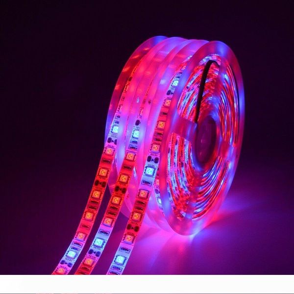 led grow light full spectrum waterproof 5m led strip light 5050 led flower plant phyto growth lamps for greenhouse hydroponic plant growing
led grow light full spectrum waterproof 5m led strip light 5050 led flower plant phyto growth lamps for greenhouse hydroponic plant growing