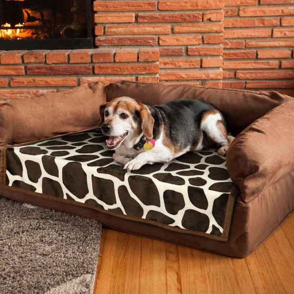 soft pet dog blanket winter cat dog bed mat warm print sleeping mattress small medium large dogs fleece bath towel pet supplies
soft pet dog blanket winter cat dog bed mat warm print sleeping mattress small medium large dogs fleece bath towel pet supplies