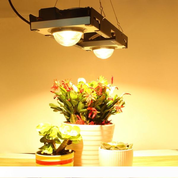 cree cxb3590 cob led grow light full spectrum 200w citizen led plant grow lamp for indoor tent greenhouses hydroponic plant
cree cxb3590 cob led grow light full spectrum 200w citizen led plant grow lamp for indoor tent greenhouses hydroponic plant