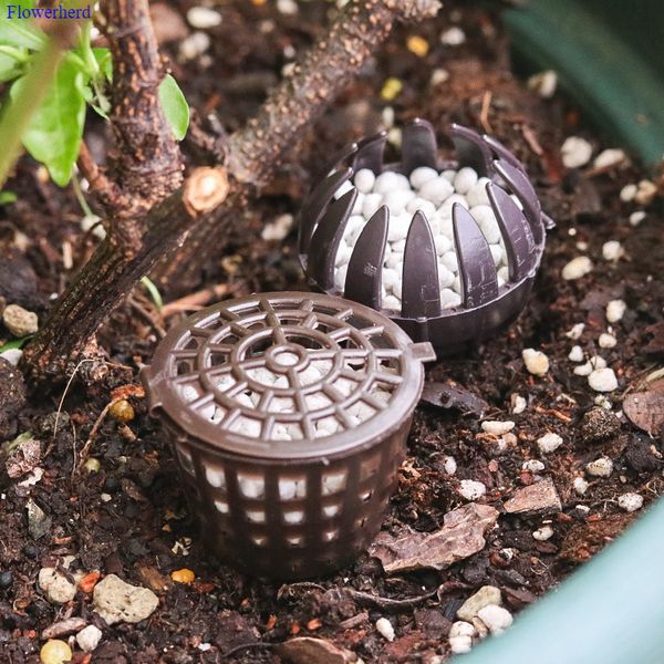 decorative flowers & wreaths 10pcs special box for jade fertilizer gardening supplies tools bonsai tamahi basket
decorative flowers & wreaths 10pcs special box for jade fertilizer gardening supplies tools bonsai tamahi basket