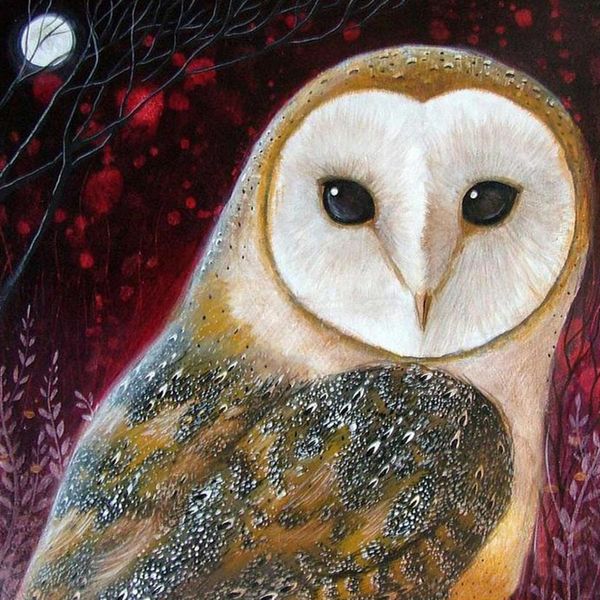 new full diy diamond painting kit 3d cross stitch night owl diamond embroidery diamond mosaic crafts
new full diy diamond painting kit 3d cross stitch night owl diamond embroidery diamond mosaic crafts