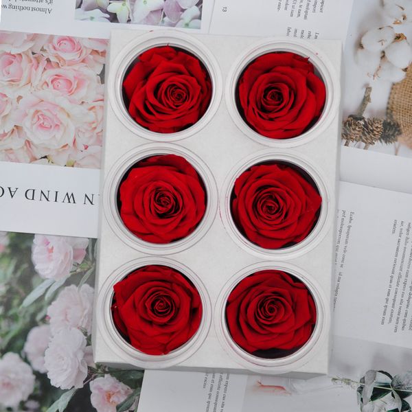 preserved rose flower 5-6cm mothers day diy gift eternal life flower valentine wedding material 6pcs/box
preserved rose flower 5-6cm mothers day diy gift eternal life flower valentine wedding material 6pcs/box