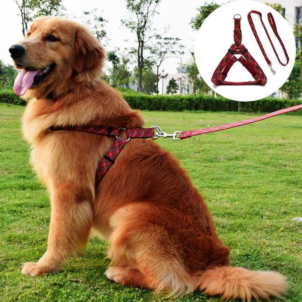 4 цвета плед щенок big dog harness и воротник walking pet воротник для маленьких собак домашние животные аксессуары для собак поводок перро
4 цвета плед щенок big dog harness и воротник walking pet воротник для маленьких собак домашние животные аксессуары для собак поводок перро