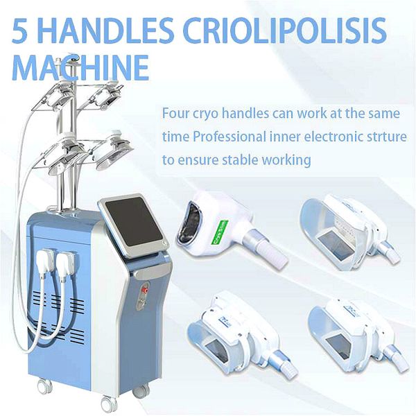2020 5 в 1 многофункциональном cryolipolysis машина для жира снижение с 5 cryo ручки 360 ° mini fat замораживание ручка для двойного подборо
2020 5 в 1 многофункциональном cryolipolysis машина для жира снижение с 5 cryo ручки 360 ° mini fat замораживание ручка для двойного подборо