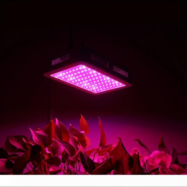 indoor plant lamp is a new model of energy saving and environmental protection for plant users, which can completely replace hps
indoor plant lamp is a new model of energy saving and environmental protection for plant users, which can completely replace hps