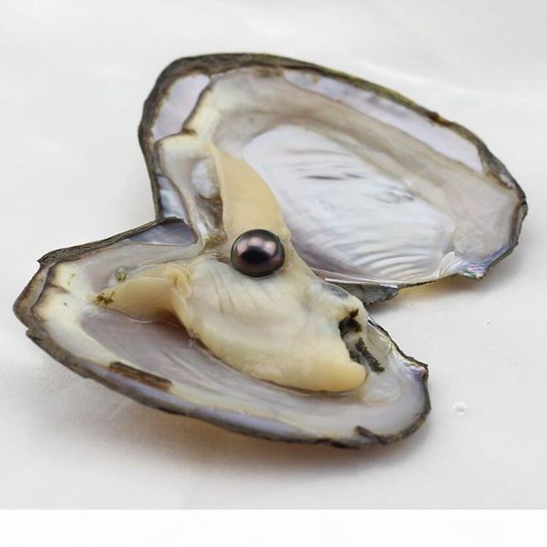 2017 fashion pink white color black big natural pearl oyster seawater pearl for women statement jewelry accessories vacuum packing wholesale
2017 fashion pink white color black big natural pearl oyster seawater pearl for women statement jewelry accessories vacuum packing wholesale