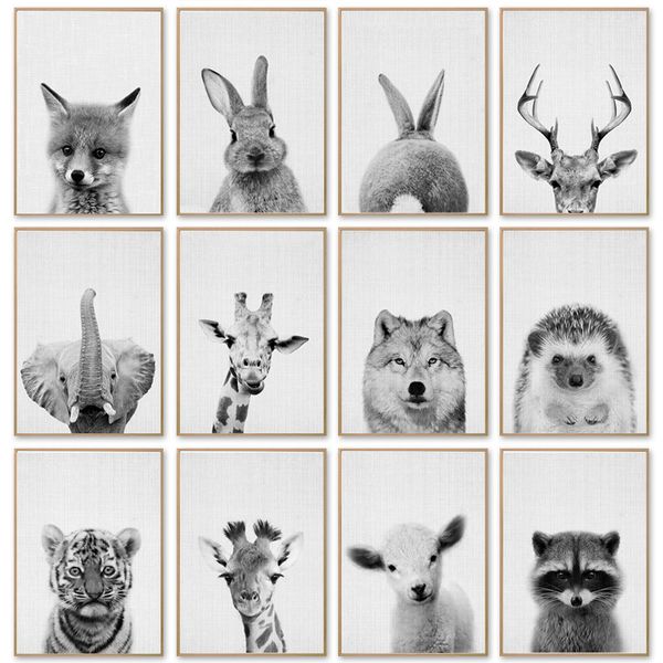 black white deer elephant raccon wall art canvas posters and prints minimalist animal painting for living room decor pictures
black white deer elephant raccon wall art canvas posters and prints minimalist animal painting for living room decor pictures