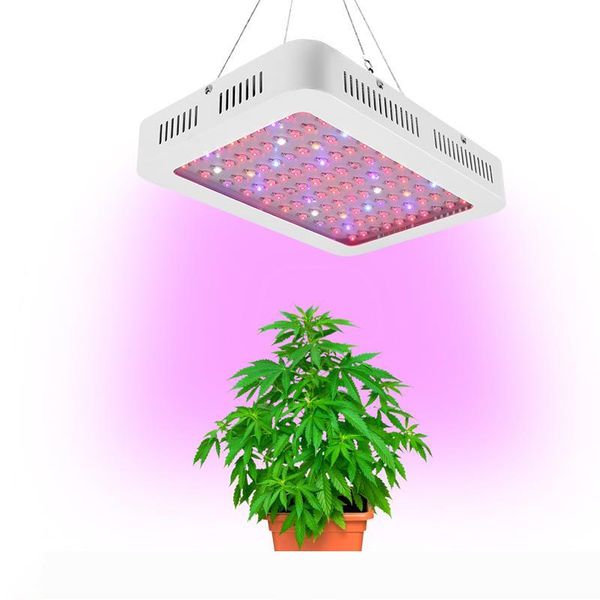 день всех святых led grow light 1000w full spectrum led grow палатка покрытый зеленые дома лампы завод вырастить лампа для вег цветение
день всех святых led grow light 1000w full spectrum led grow палатка покрытый зеленые дома лампы завод вырастить лампа для вег цветение