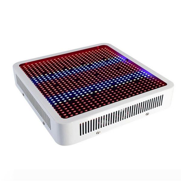 ac85~265v full spectrum 800w led plant grow light red+blue+uv+ir smd5730 plant lamps hydroponics vegetables flowering plants
ac85~265v full spectrum 800w led plant grow light red+blue+uv+ir smd5730 plant lamps hydroponics vegetables flowering plants
