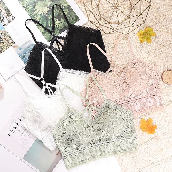 women tube lace wrapped chest lingeries seamless gathering bras summer lace padded bras, Red;black
women tube lace wrapped chest lingeries seamless gathering bras summer lace padded bras, Red;black