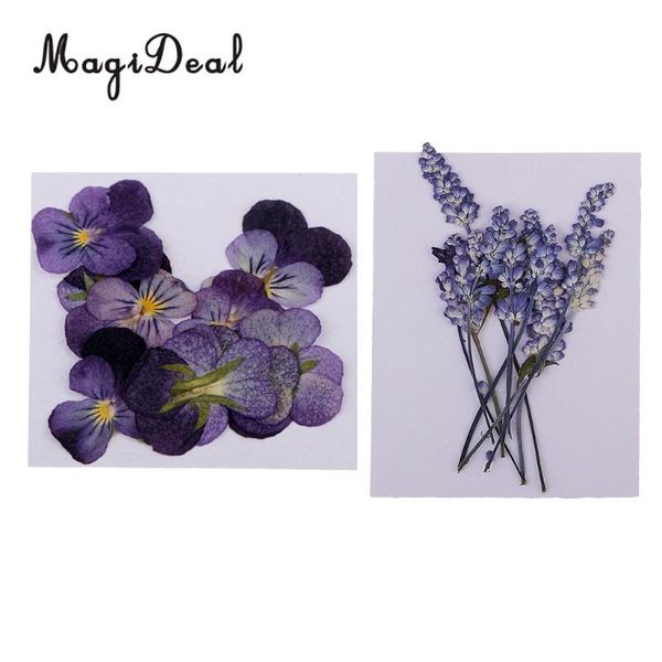 22pc assorted dried pressed flowers real violet & plant herbarium for scrapbooking card making diy jewelry phone case craft
22pc assorted dried pressed flowers real violet & plant herbarium for scrapbooking card making diy jewelry phone case craft