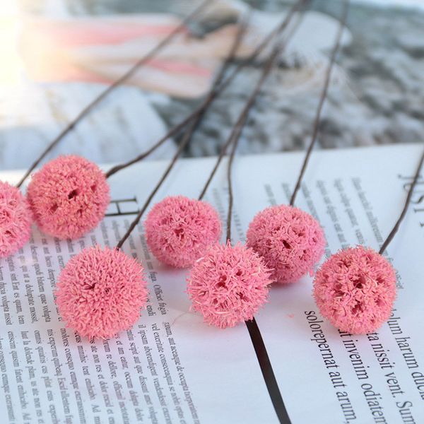 1pc dried flowers natural home decorative diy accessories creative dried fruit pink artificial flower p props home decor
1pc dried flowers natural home decorative diy accessories creative dried fruit pink artificial flower p props home decor