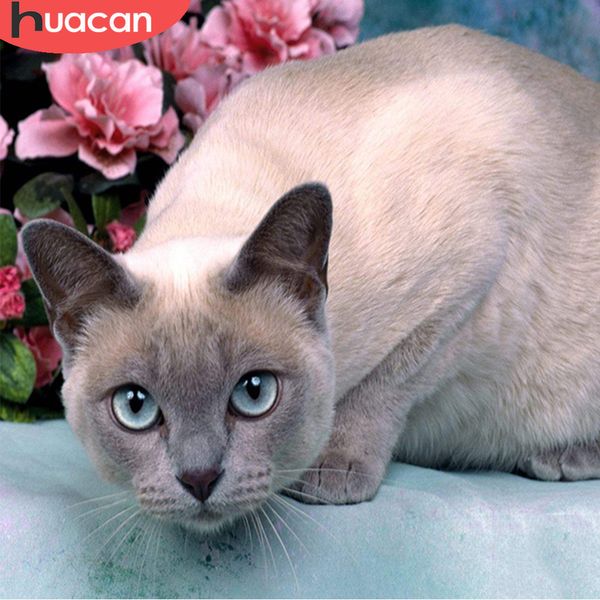 huacan diy full square diamond embroidery 5d cat round diamond painting animal handmade home decor gift
huacan diy full square diamond embroidery 5d cat round diamond painting animal handmade home decor gift