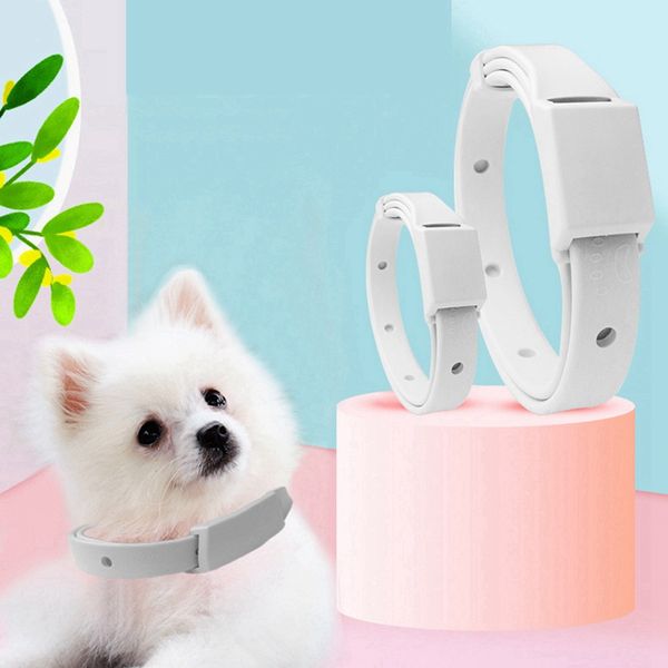 dog collars & leashes anti flea ticks mosquitoes pet cat collar outdoor adjustable waterproof accessories long-term protection
dog collars & leashes anti flea ticks mosquitoes pet cat collar outdoor adjustable waterproof accessories long-term protection