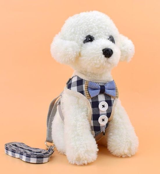 st style breathable mesh cloth chest strap for small dogs cat leash pet vest type adjustable leash pet supplies ing
st style breathable mesh cloth chest strap for small dogs cat leash pet vest type adjustable leash pet supplies ing
