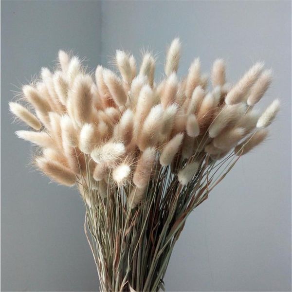 decorative flowers & wreaths 50 pcs 100 natural dried bouquet wedding home easter decoration tail grass lagurus ovatus real
decorative flowers & wreaths 50 pcs 100 natural dried bouquet wedding home easter decoration tail grass lagurus ovatus real