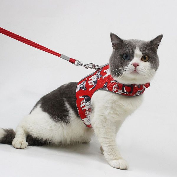dog collars & leashes s-l pet cat adjustable harness vests reflective traction walking lead leash for puppy dogs collar polyester mesh
dog collars & leashes s-l pet cat adjustable harness vests reflective traction walking lead leash for puppy dogs collar polyester mesh