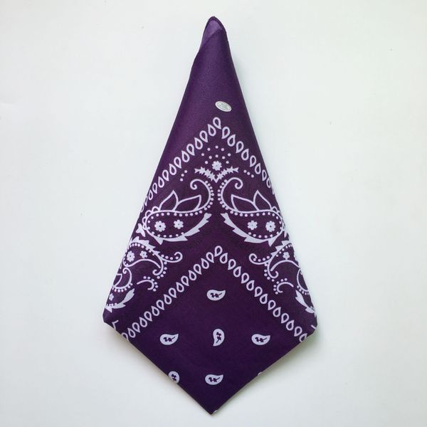 cycling magic anti-uv headband 100% cotton paisley design scarf hip hop multifunctional bandanas wristband designer fashion head scarf
cycling magic anti-uv headband 100% cotton paisley design scarf hip hop multifunctional bandanas wristband designer fashion head scarf