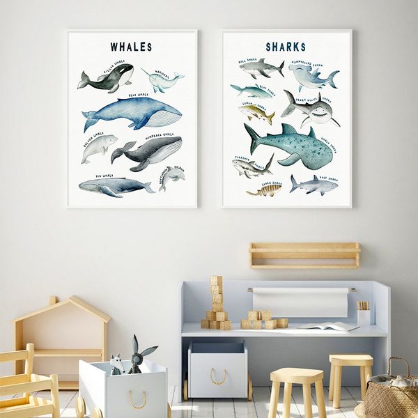 whales sharks chart posters animals nursery prints canvas painting wall art pictures prints for kids baby room home decoration
whales sharks chart posters animals nursery prints canvas painting wall art pictures prints for kids baby room home decoration