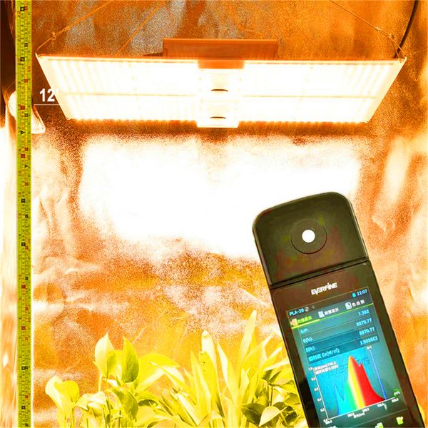 qb4000 full spectrum samsung led grow lights 1000w/2000w/4000w with lm301b 234pcs 3000k chips and ul meanwell driver
qb4000 full spectrum samsung led grow lights 1000w/2000w/4000w with lm301b 234pcs 3000k chips and ul meanwell driver