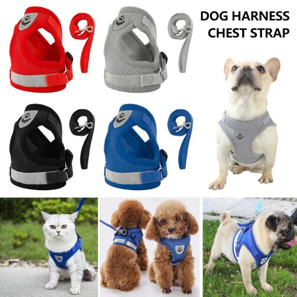 safety pet dog harness and leash set small medium dogs nylon mesh puppy cat harnesses vest reflective walking lead leash sets
safety pet dog harness and leash set small medium dogs nylon mesh puppy cat harnesses vest reflective walking lead leash sets