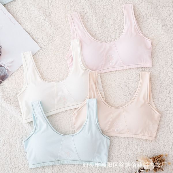 wkkyq girls' bra without steel ring students vest ' developmental underwear girls' cotton underwear vest for junior and senio, White
wkkyq girls' bra without steel ring students vest ' developmental underwear girls' cotton underwear vest for junior and senio, White