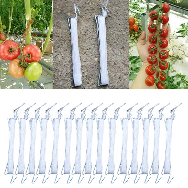 multi-size10m garden tomato hook vegetable clamps for garden farms
multi-size10m garden tomato hook vegetable clamps for garden farms