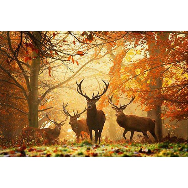forest deers 5d diy diamond painting cross stitch diamond embroidery mosaic diamond wall painting kbl
forest deers 5d diy diamond painting cross stitch diamond embroidery mosaic diamond wall painting kbl