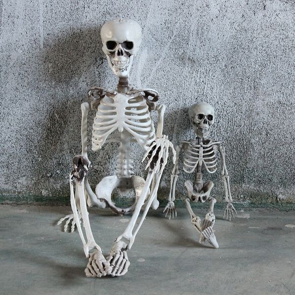 40/90cm halloween party decoration human full body skull skeleton anatomical skeleton with movable joints party prop decor
40/90cm halloween party decoration human full body skull skeleton anatomical skeleton with movable joints party prop decor