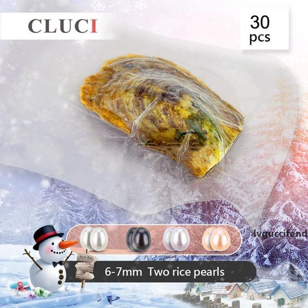 cluci 30pcs 6-7mm oval freshwater oyster with twins bead for women jewelry making real cultured pearl oysters t200507
cluci 30pcs 6-7mm oval freshwater oyster with twins bead for women jewelry making real cultured pearl oysters t200507