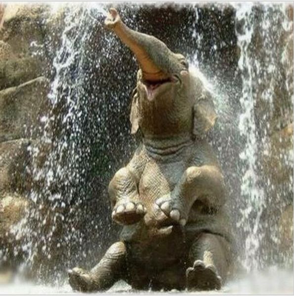 3d diy diamond painting full drill rhinestone mosaic handmade needlework elephant in bath pictures diamond embroidery bk-2655
3d diy diamond painting full drill rhinestone mosaic handmade needlework elephant in bath pictures diamond embroidery bk-2655