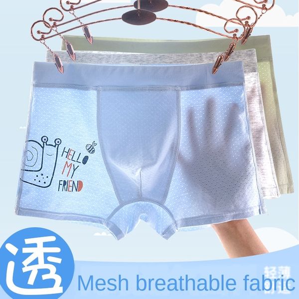 ezfhe breathable hole mesh men's baby shorts boxer underpants underpants cotton children's underwear small middle school boy, Camo
ezfhe breathable hole mesh men's baby shorts boxer underpants underpants cotton children's underwear small middle school boy, Camo