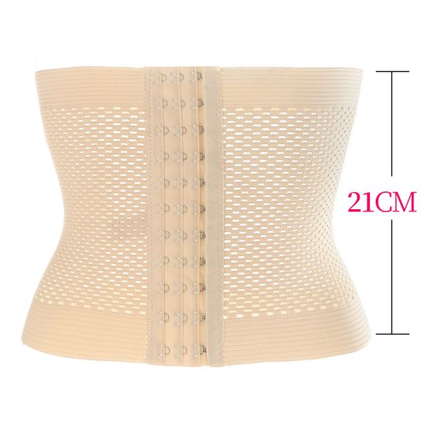 body shaping bands жилета талия тренеры женщина поводок опоясывание группа препояшь waistband эластичный корсет фитнес поставка монтаж shape, Black;gray
body shaping bands жилета талия тренеры женщина поводок опоясывание группа препояшь waistband эластичный корсет фитнес поставка монтаж shape, Black;gray