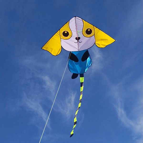 l2vyz weifang 2019 new small yellow dog children's breeze weifang 2019 new yellow dog k children's puppy kite easy to fly beginner
l2vyz weifang 2019 new small yellow dog children's breeze weifang 2019 new yellow dog k children's puppy kite easy to fly beginner