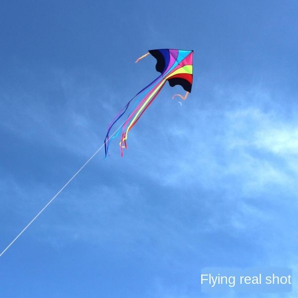 jkl3c . rainbow . ensure flight rainbow pole ensures flight kite big flying sky weifang kite large easy fly good fly to send spare pole to e
jkl3c . rainbow . ensure flight rainbow pole ensures flight kite big flying sky weifang kite large easy fly good fly to send spare pole to e
