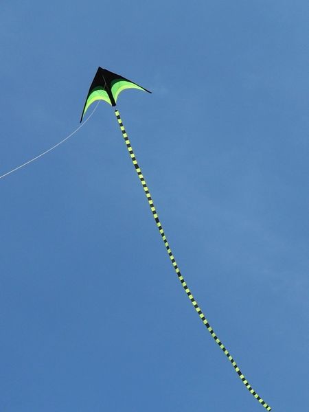 new weifang prairie kite children cartoon large kite novice beginner breeze easy to fly wire steel wire wheel
new weifang prairie kite children cartoon large kite novice beginner breeze easy to fly wire steel wire wheel