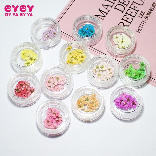 jdcft diy glass cover dedicated filler drop glue accessories small diy manicure accessories manicure dried flower narcissus real flower plum, Silver
jdcft diy glass cover dedicated filler drop glue accessories small diy manicure accessories manicure dried flower narcissus real flower plum, Silver