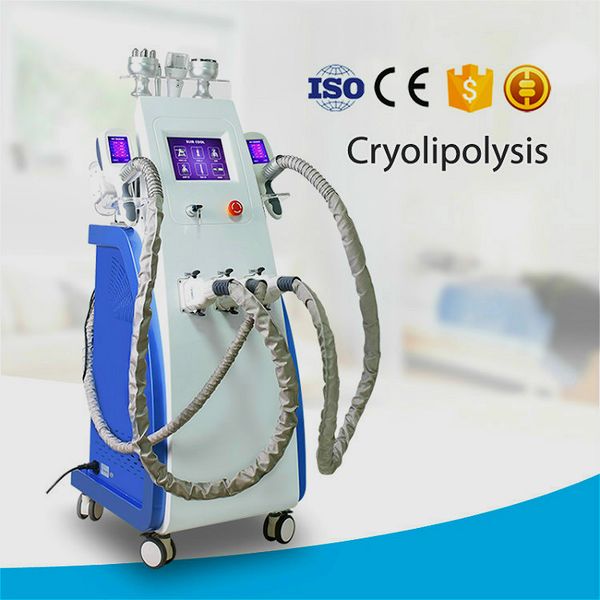 new factory promotion salon use cryolipolysis fat e slimming cool technology 3 cryo handles 360° fat ing cellulite removal device
new factory promotion salon use cryolipolysis fat e slimming cool technology 3 cryo handles 360° fat ing cellulite removal device