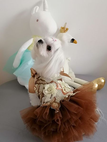 high-end luxury handmade dog apparel clothes pet slip dress embroidery pearl flowers multilayer formal attire princess
high-end luxury handmade dog apparel clothes pet slip dress embroidery pearl flowers multilayer formal attire princess