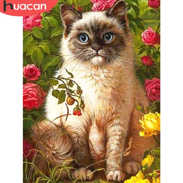 huacan diy diamond painting 5d cat diamond embroidery full square/round animal mosaic home decor
huacan diy diamond painting 5d cat diamond embroidery full square/round animal mosaic home decor