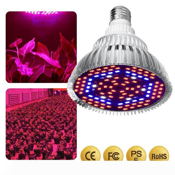 led grow light full spectrum 30w 50w 80w e27 uv ir led growing bulb for indoor hydroponics flowers plants led growth lamp.
led grow light full spectrum 30w 50w 80w e27 uv ir led growing bulb for indoor hydroponics flowers plants led growth lamp.