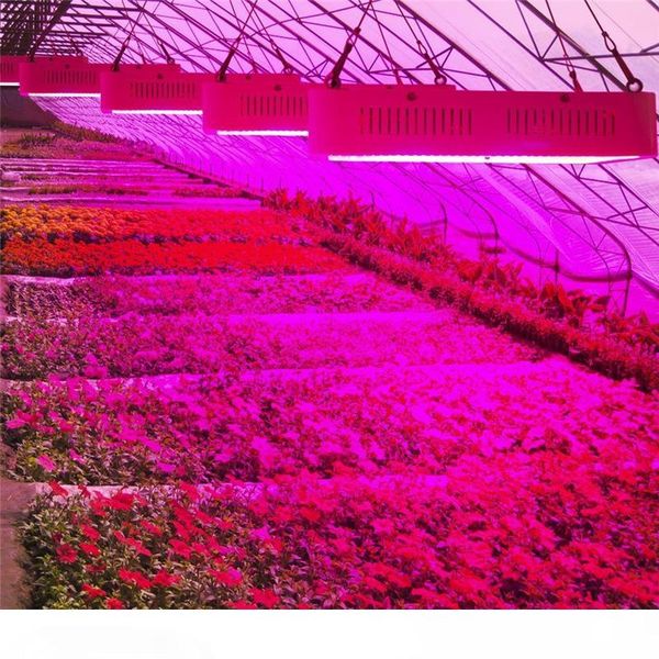 2000w double chips led grow light full spectrum 410-730nm для комнатных растений и цветок фразы с высоким выходом
2000w double chips led grow light full spectrum 410-730nm для комнатных растений и цветок фразы с высоким выходом