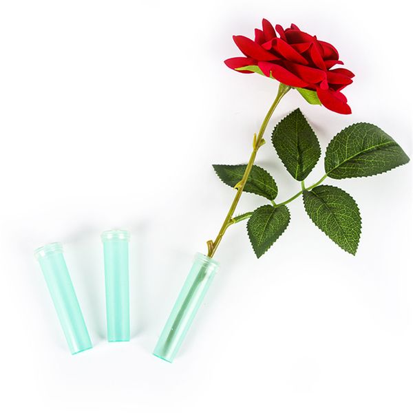 flower tube 200pcs/lot baby blue plastic water tube flowers plant nutrition blue plastic water flowers plant nutrition
flower tube 200pcs/lot baby blue plastic water tube flowers plant nutrition blue plastic water flowers plant nutrition
