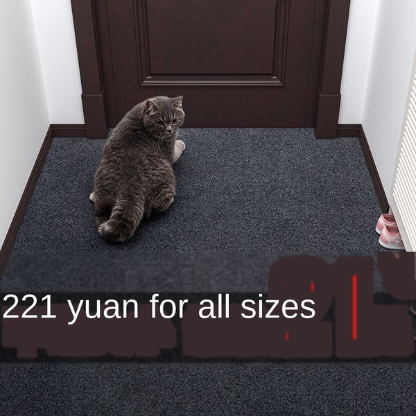entrance floor floor door mat foot mat household anti-skid water absorbing hallway door kitchen can be scrubbed
entrance floor floor door mat foot mat household anti-skid water absorbing hallway door kitchen can be scrubbed
