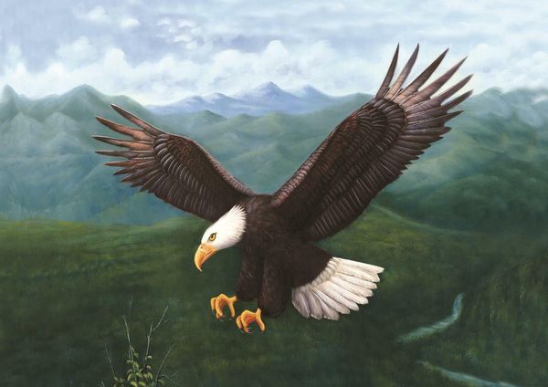eagle quality decor canvas home decor handpainted &hd print oil painting on canvas wall art canvas pictures 200711
eagle quality decor canvas home decor handpainted &hd print oil painting on canvas wall art canvas pictures 200711
